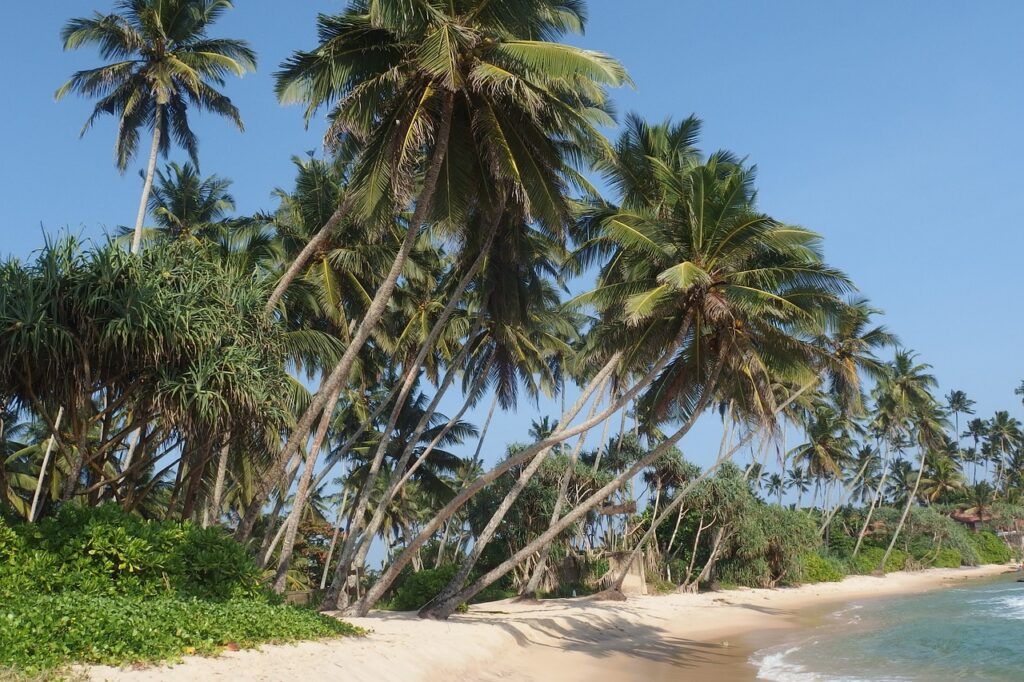 sri lanka